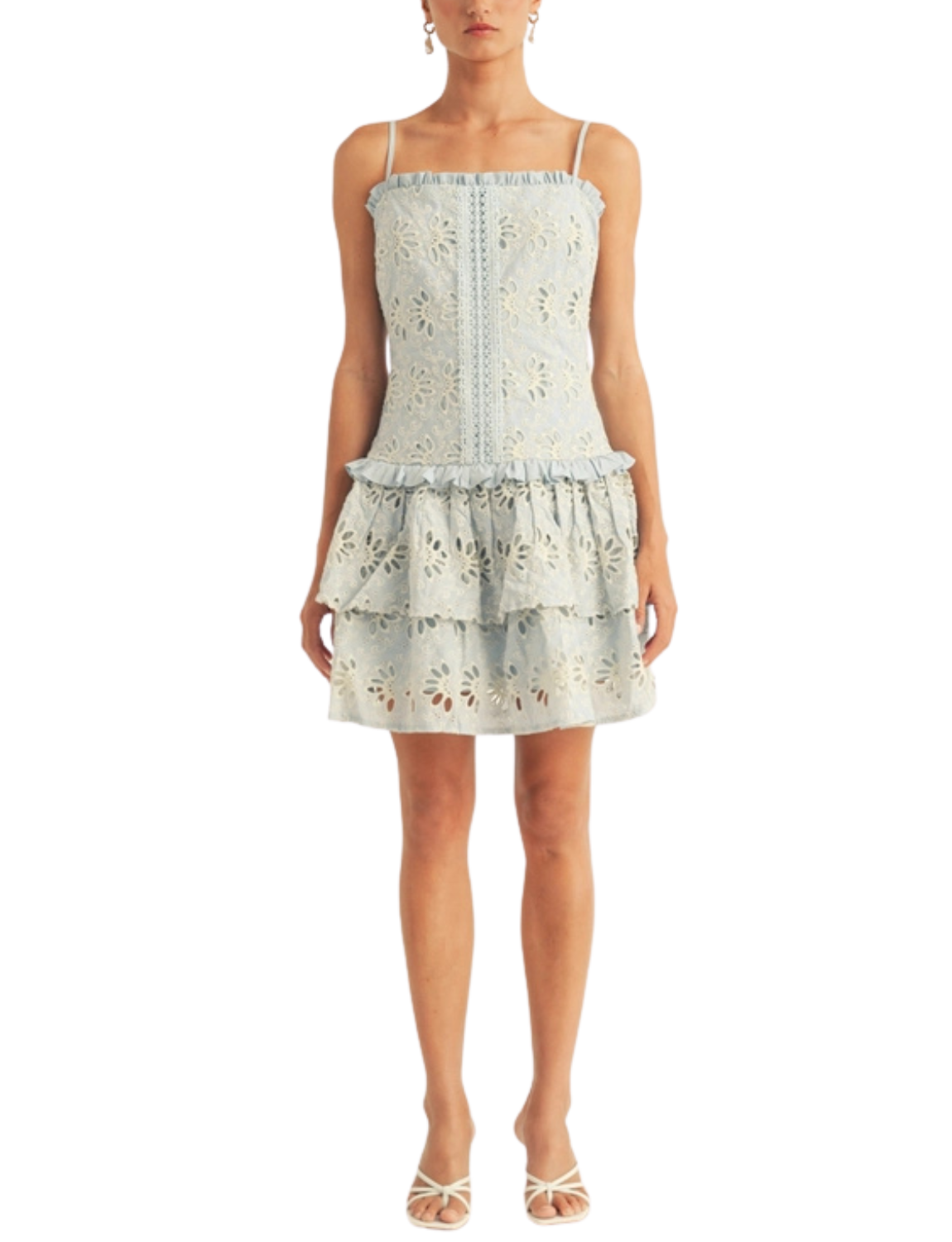 Kaiya Drop Waist Ruffle Detail Pleated Dress