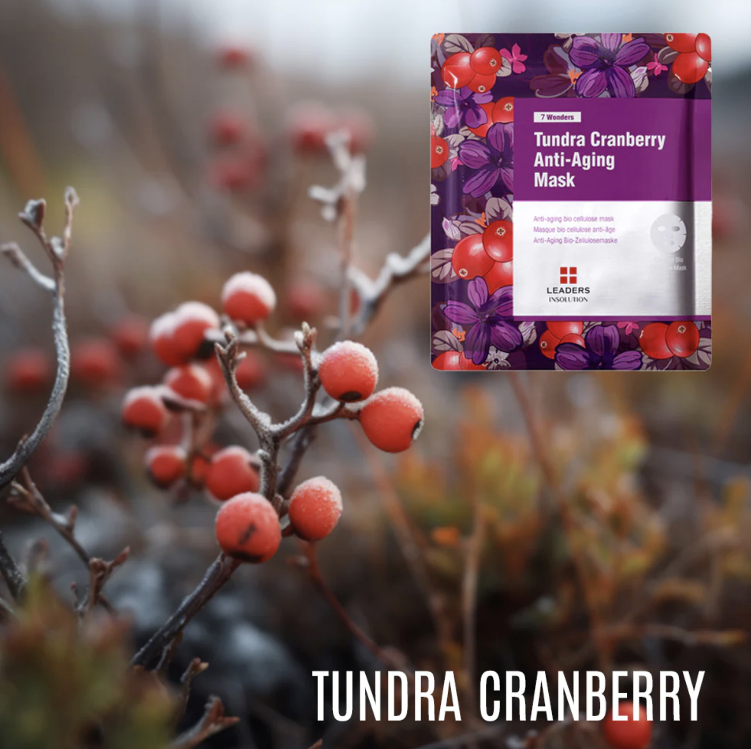 Leaders 7 WONDERS TUNDRA CRANBERRY ANTI-AGING MASK SHEET