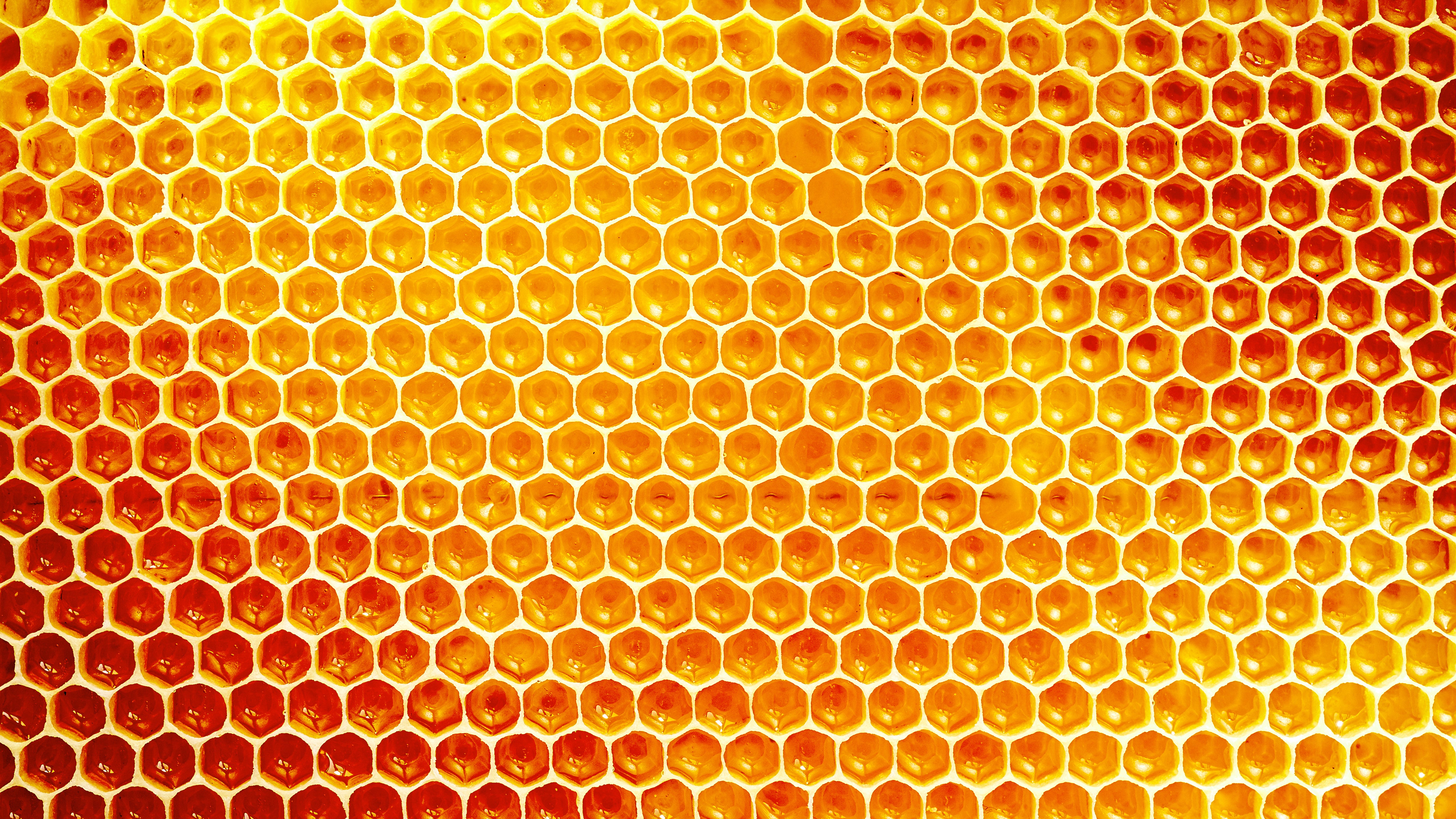 Minding Your Beeswax.